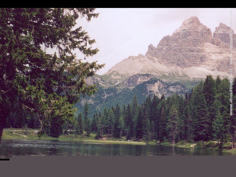 WallPaper-800x600